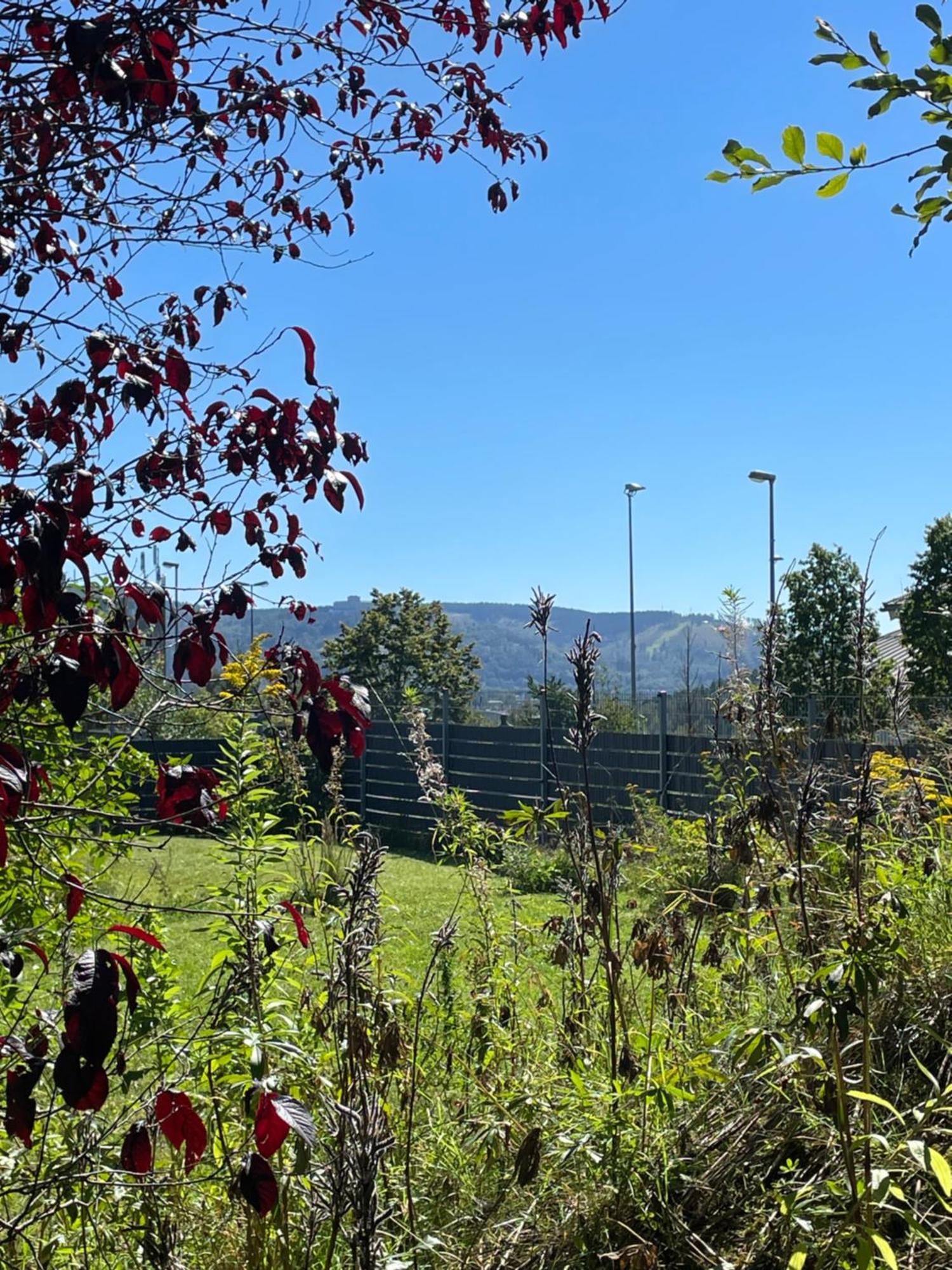 Villa Wanderlux Zella-Mehlis Dış mekan fotoğraf