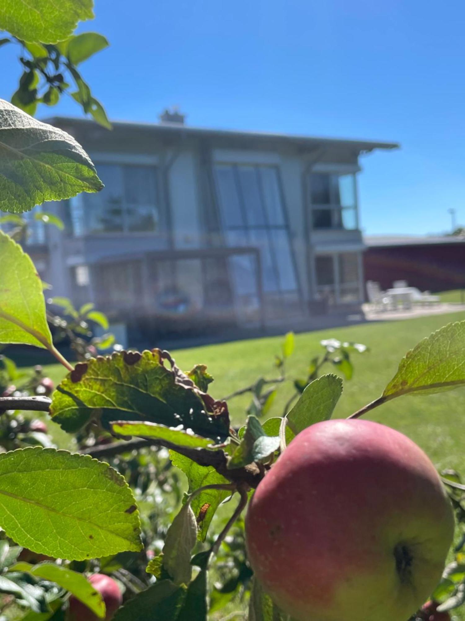 Villa Wanderlux Zella-Mehlis Dış mekan fotoğraf